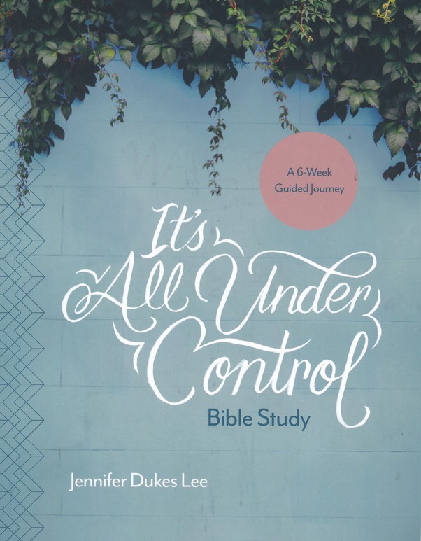 9781496430519 It's All Under Control: A Journey of Letting Go, Hanging On, and Finding a Peace You Almost Forgot was Possible, Softcover